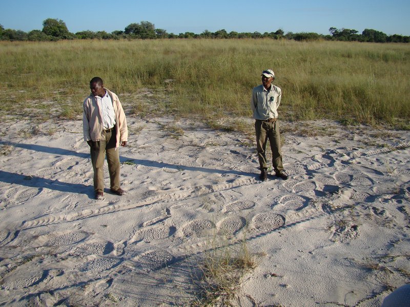 Tracking Botswana