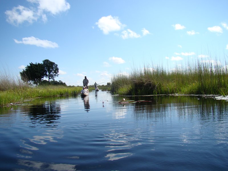 Luxury safari holidays Botswana