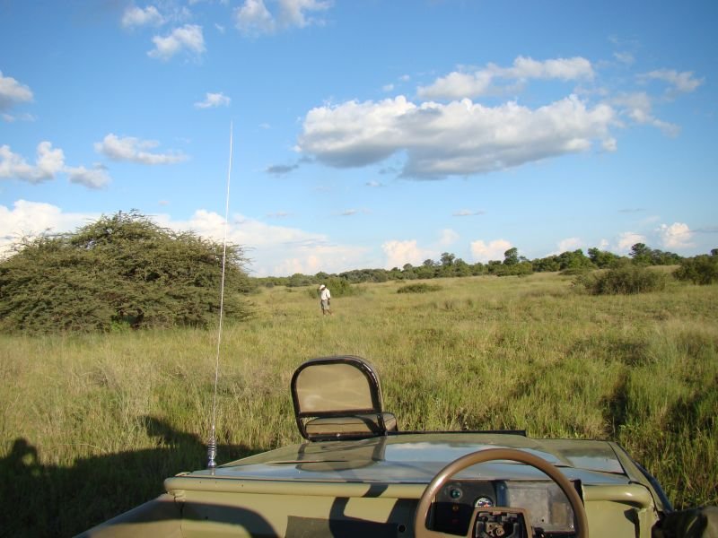 Guided tours Botswana