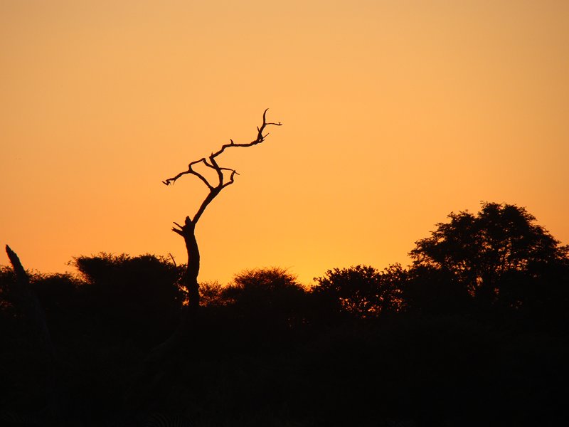 African Sunset