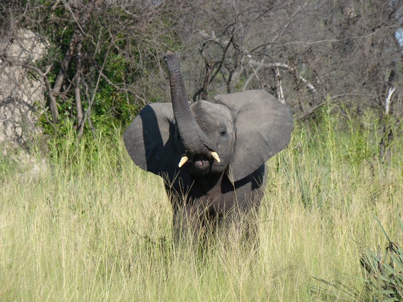 Photography Botswana