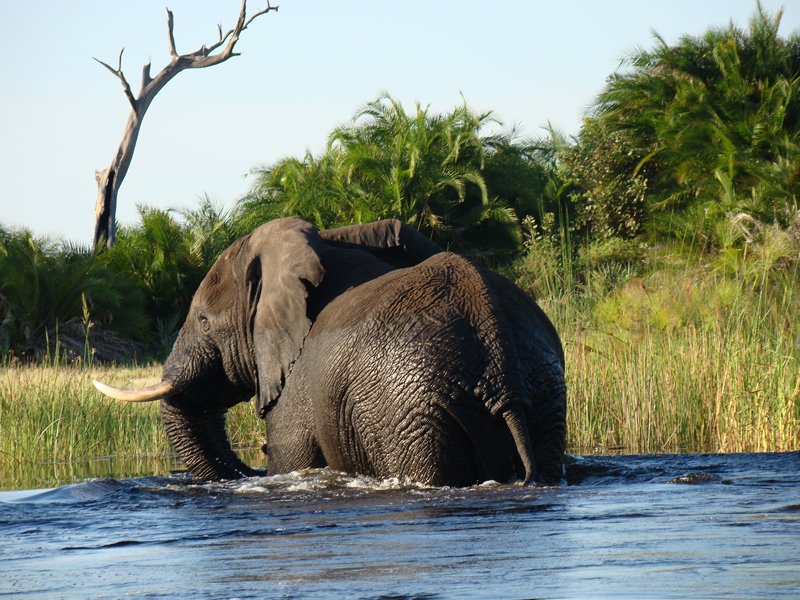 Holidays southern Africa