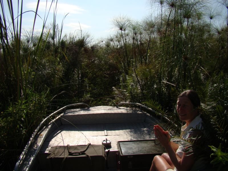 Motor boat trips Botswana