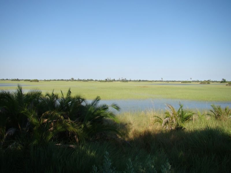 Boat adventure Botswana